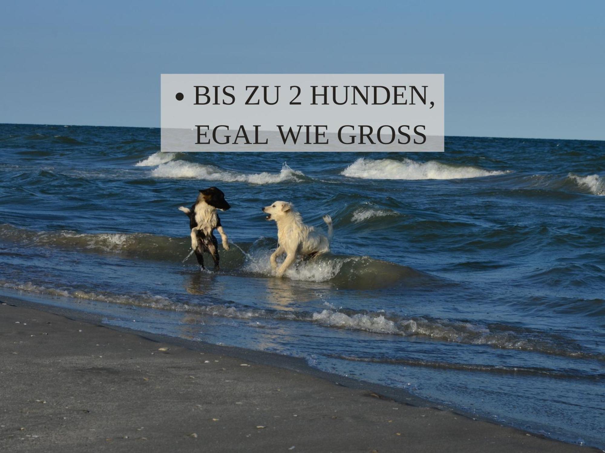 Haus Krabbe, Apartment 10, Naehe Bremerhaven, Fuer 1-2 Personen, 2 Schlafzimmer, Einzelbetten, Zweite Etage, Zentral Gelegen, Bis Zu 2 Hunden Kostenfrei Willkommen Wremen Eksteriør billede